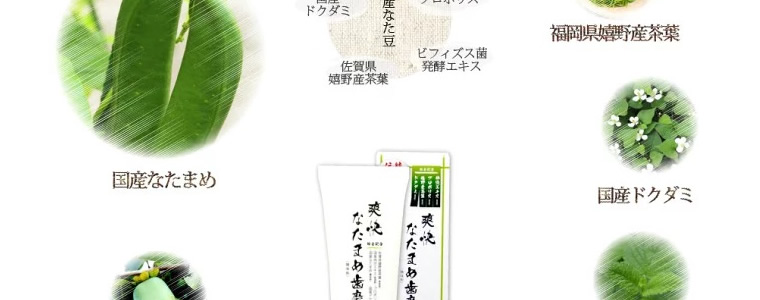 伝統爽快なたまめ歯磨き粉 口コミ